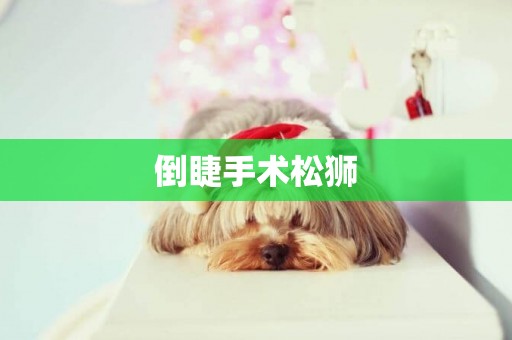 倒睫手術松獅