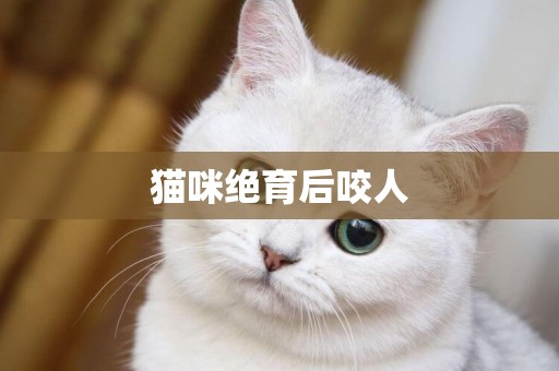 貓咪絕育后咬人