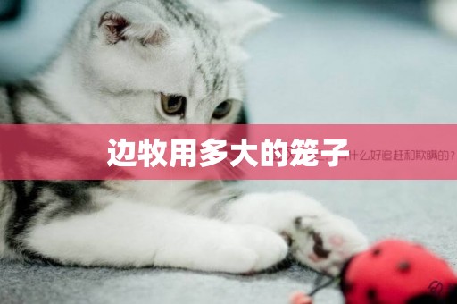 邊牧用多大的籠子