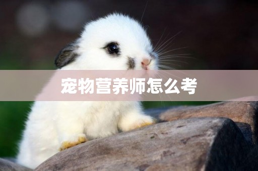 寵物營養師怎么考