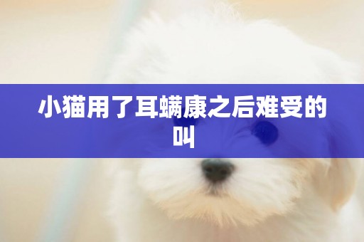 小貓用了耳螨康之后難受的叫