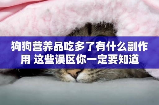 狗狗營養品吃多了有什么副作用 這些誤區你一定要知道
