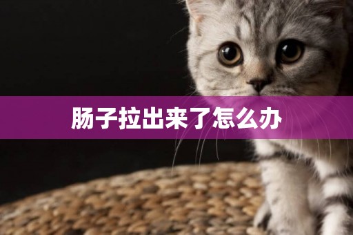 腸子拉出來了怎么辦