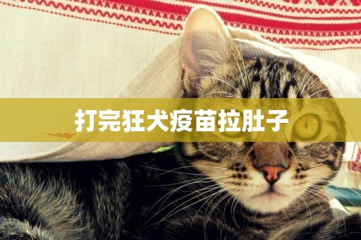 打完狂犬疫苗拉肚子