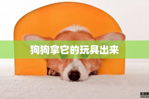 狗狗拿它的玩具出來