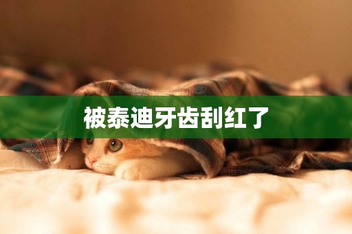 被泰迪牙齒刮紅了
