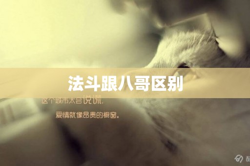 法斗跟八哥區別