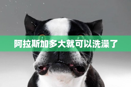 阿拉斯加多大就可以洗澡了