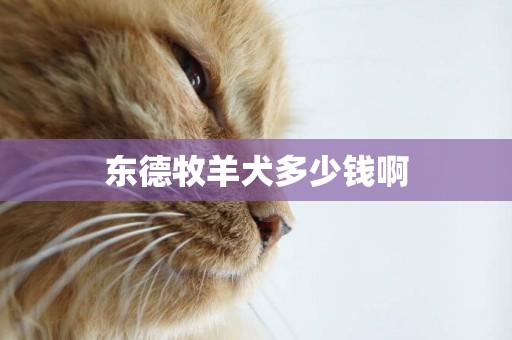 東德牧羊犬多少錢啊