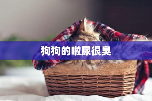 狗狗的啦尿很臭