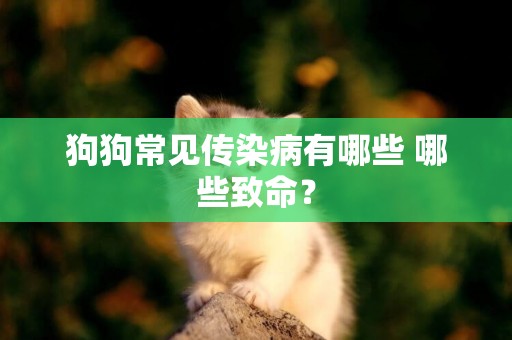 狗狗常見傳染病有哪些 哪些致命？