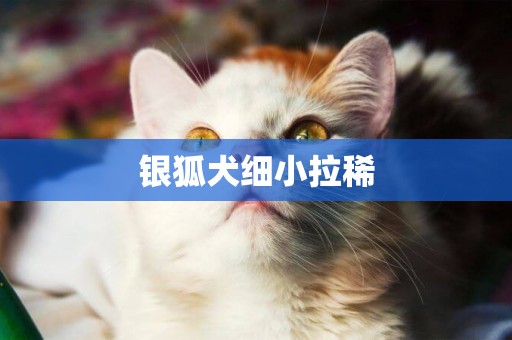 銀狐犬細小拉稀