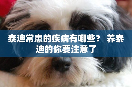 泰迪常患的疾病有哪些？ 養泰迪的你要注意了