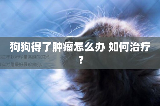 狗狗得了腫瘤怎么辦 如何治療？