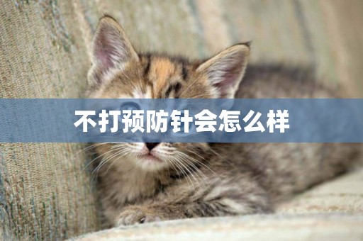 不打預防針會怎么樣