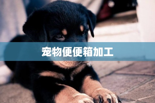 寵物便便箱加工