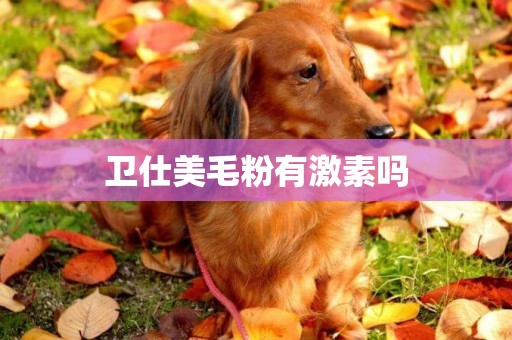 衛仕美毛粉有激素嗎