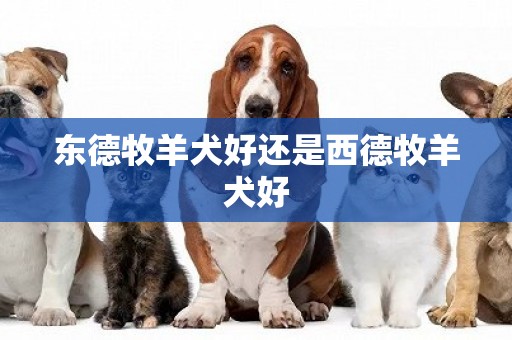 東德牧羊犬好還是西德牧羊犬好