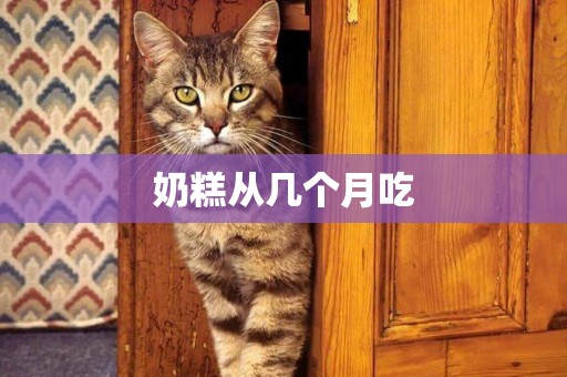 奶糕從幾個月吃