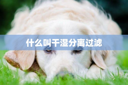 什么叫干濕分離過濾