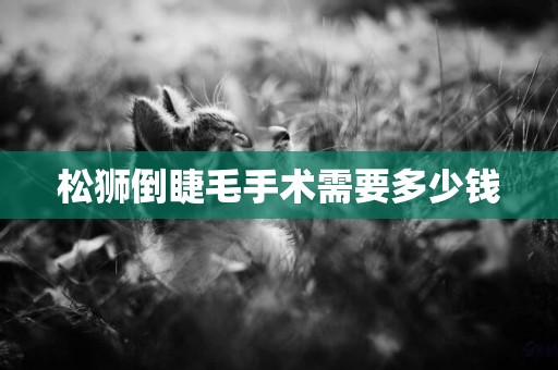 松獅倒睫毛手術需要多少錢