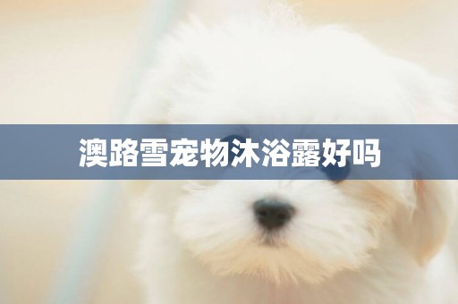 澳路雪寵物沐浴露好嗎