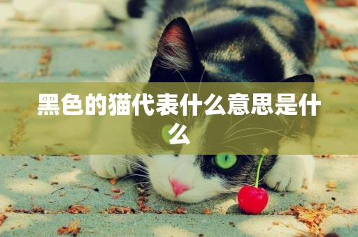 黑色的貓代表什么意思是什么