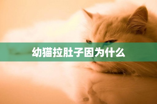 幼貓拉肚子因為什么