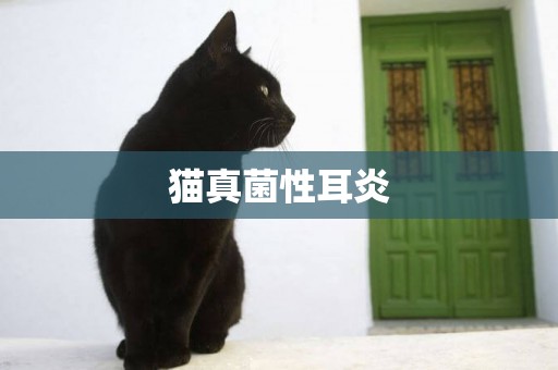 貓真菌性耳炎