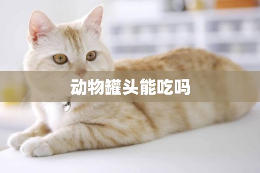 動物罐頭能吃嗎