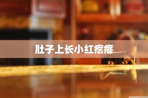 肚子上長小紅疙瘩