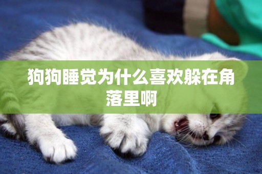 狗狗睡覺為什么喜歡躲在角落里啊