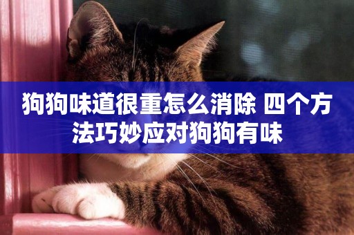 狗狗味道很重怎么消除 四個方法巧妙應對狗狗有味