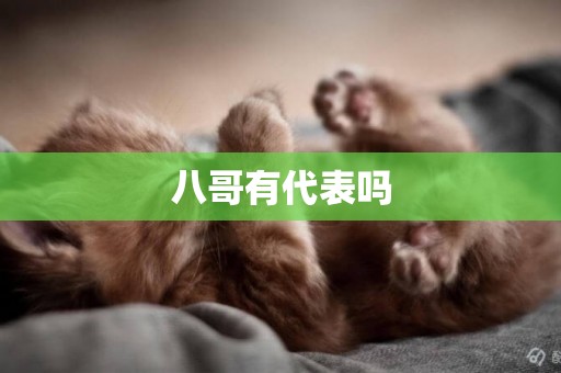 八哥有代表嗎
