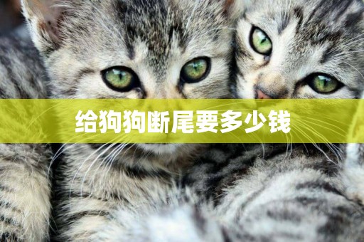 給狗狗斷尾要多少錢