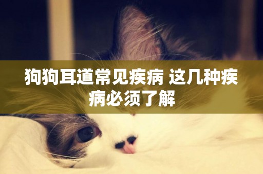 狗狗耳道常見疾病 這幾種疾病必須了解