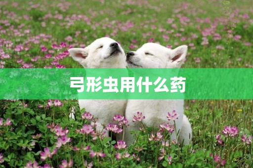 弓形蟲用什么藥