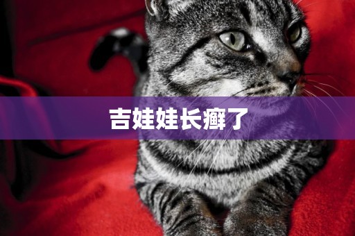 吉娃娃長癬了