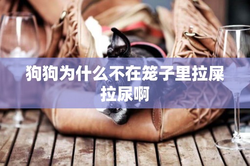 狗狗為什么不在籠子里拉屎拉尿啊