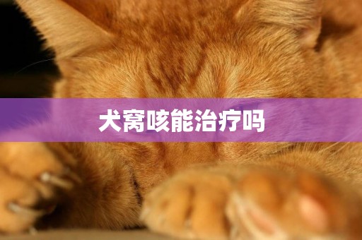 犬窩咳能治療嗎
