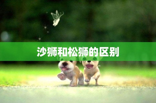 沙獅和松獅的區別