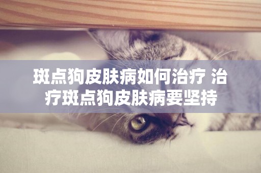 斑點狗皮膚病如何治療 治療斑點狗皮膚病要堅持
