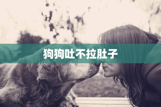 狗狗吐不拉肚子