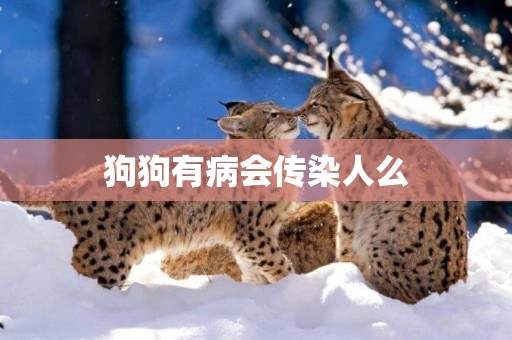 狗狗有病會傳染人么