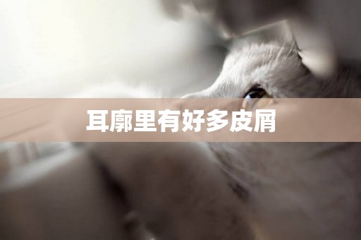 耳廓里有好多皮屑