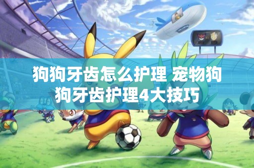 狗狗牙齒怎么護理 寵物狗狗牙齒護理4大技巧