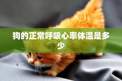 狗的正常呼吸心率體溫是多少