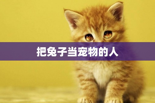 把兔子當寵物的人