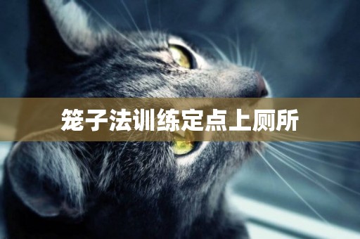 籠子法訓練定點上廁所