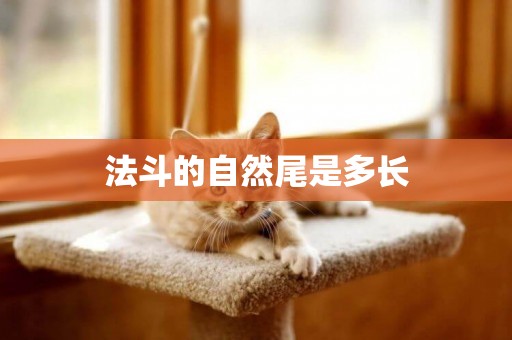 法斗的自然尾是多長